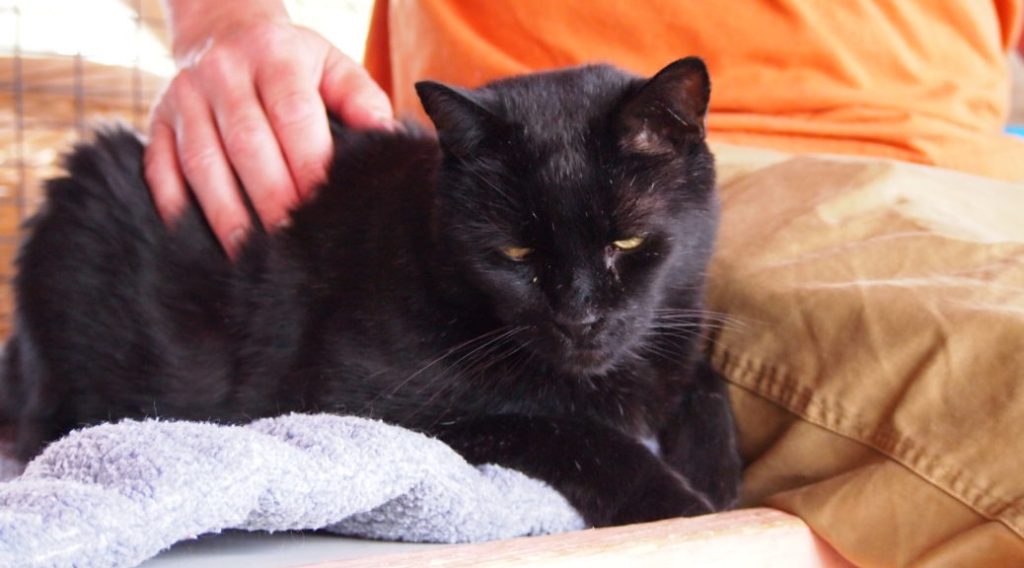 Here’s Looking at You Kid